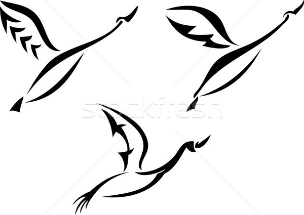 白鳥 デザイン セット シルエット 飛行 自然 ストックフォト © Volina