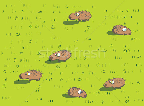 Hedgehogs Set Stock photo © VOOK