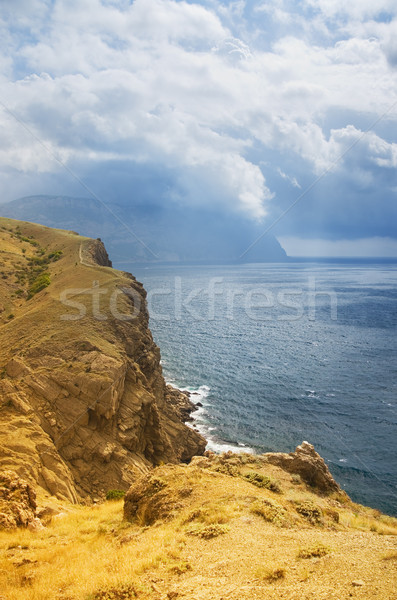 mountains and the sea Stock photo © vrvalerian