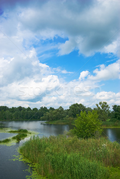 Bos meer mooie Blauw bewolkt hemel Stockfoto © vrvalerian