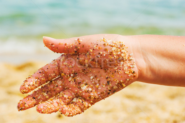 Arm klein schelpen hemel hand natuur Stockfoto © vrvalerian