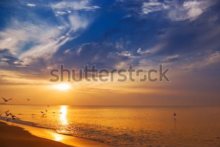sunrise at sea Stock photo © vrvalerian