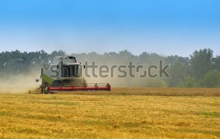 Groot werken hemel natuur veld Stockfoto © vrvalerian