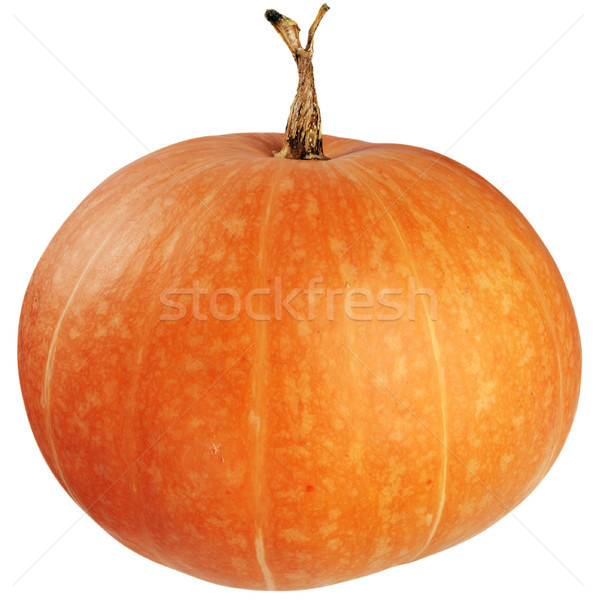 Ripe pumpkin isolated Stock photo © vtls