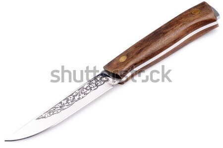 Jagd Messer weiß Holz geschnitten Klinge Stock foto © vtls