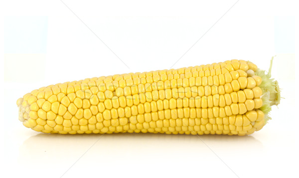 Corn Stock photo © vtorous