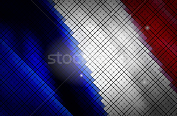 Flag  of France Stock photo © vtorous