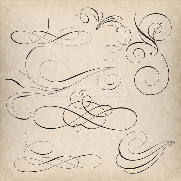 Calligraphy elements Stock photo © vtorous