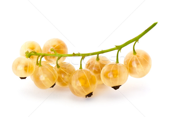 Blanche groseille jaune isolé alimentaire fruits [[stock_photo]] © vtorous