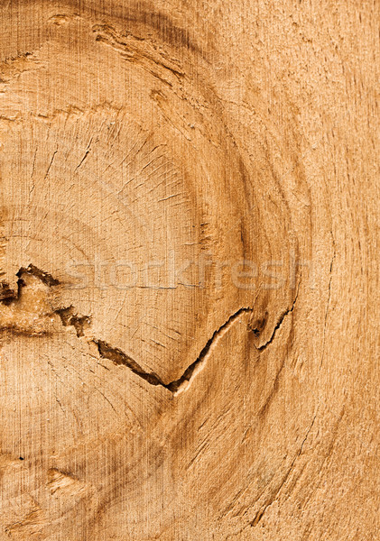 Wood texture albero cross spazio pattern storia Foto d'archivio © vtorous