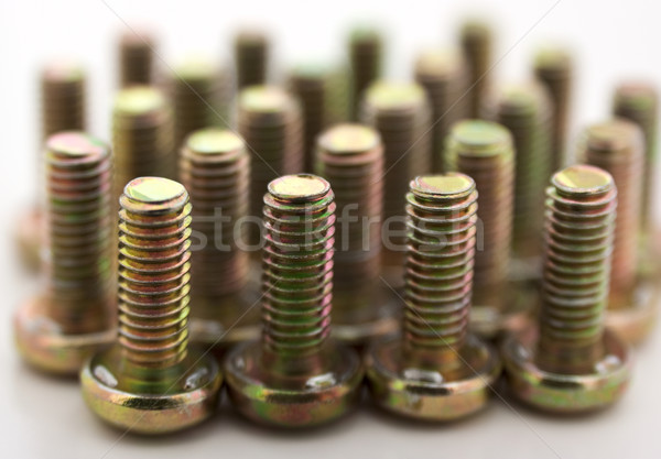 Metal bolts Stock photo © vtorous