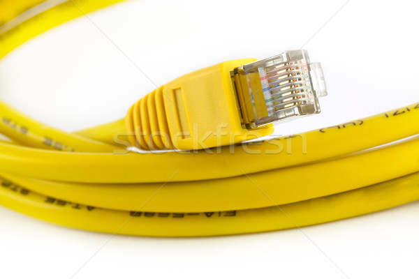 Ethernet cabo branco tecnologia cor digital Foto stock © vtorous