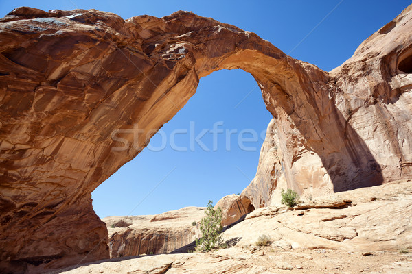 famous Corona Arch in Southern Utah Stock photo © vwalakte
