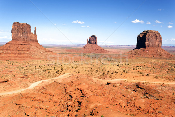 The unique landscape of Monument Valley Stock photo © vwalakte