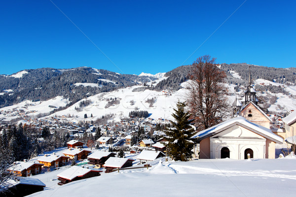 Montanha aldeia francês alpes paisagem Foto stock © vwalakte