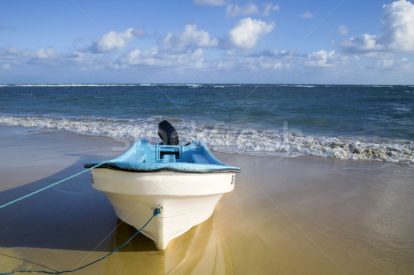 Barco areia praia linha do horizonte água madeira Foto stock © vwalakte