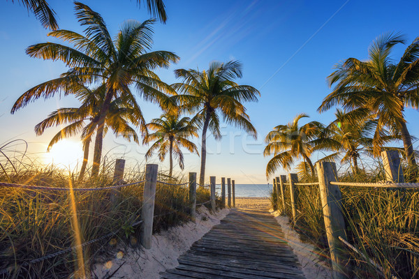 Famous passage to the beach Stock photo © vwalakte