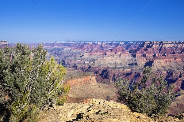 Noto Grand Canyon view Arizona USA tramonto Foto d'archivio © vwalakte