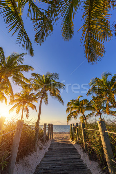 View of passage to the beach at sunrise Stock photo © vwalakte