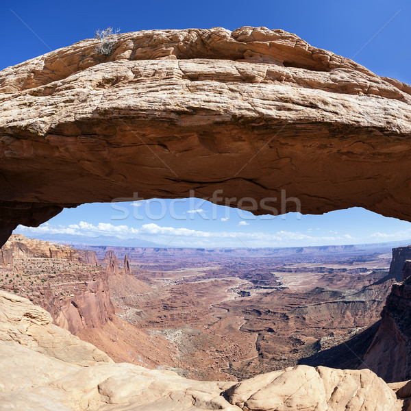 Mesa Arch square Stock photo © vwalakte
