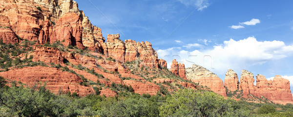 panoramic view of wilderness landscape Stock photo © vwalakte