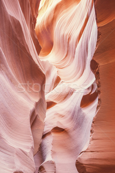 Vertical view in the famous Antelope Canyon Stock photo © vwalakte