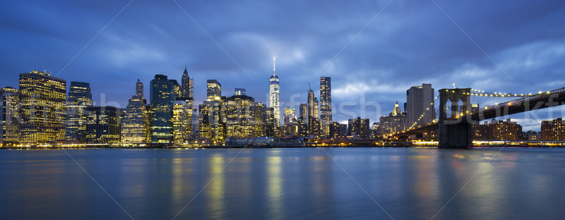 Panoramic view of New York City Stock photo © vwalakte
