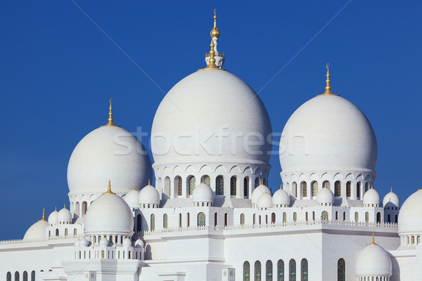 Vízszintes kilátás híres mecset égbolt víz Stock fotó © vwalakte
