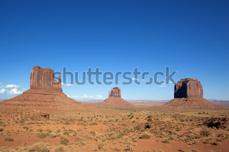 famous landscape of Monument Valley Stock photo © vwalakte