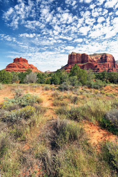 red rocks of Sedona Stock photo © vwalakte