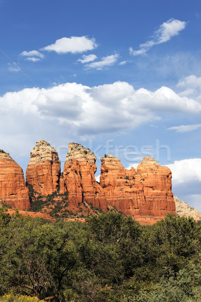 Paisagem céu nuvens árvores beleza Foto stock © vwalakte