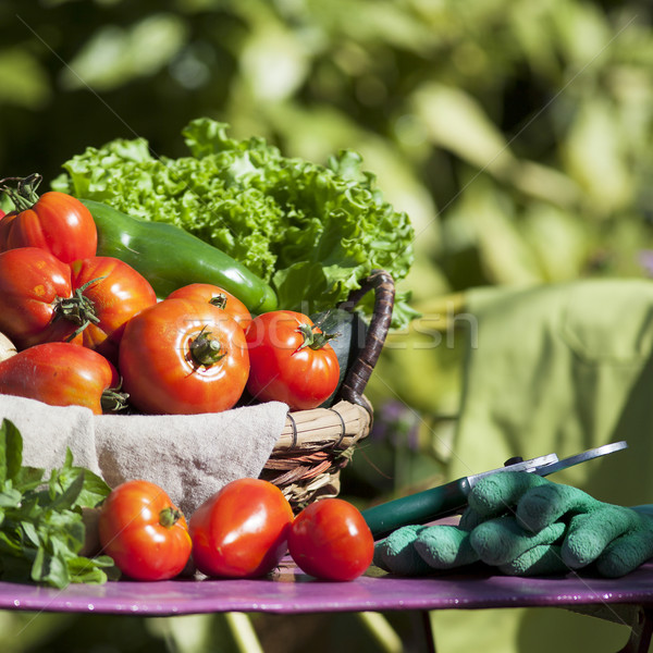 Different fresh vegetables and secateurs Stock photo © vwalakte