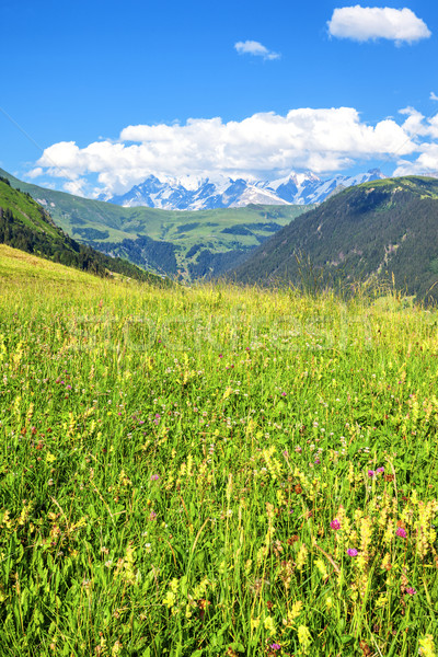 landscape of french Alps Stock photo © vwalakte