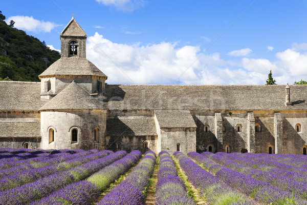 Abbey of Senanque and lavender flowers Stock photo © vwalakte