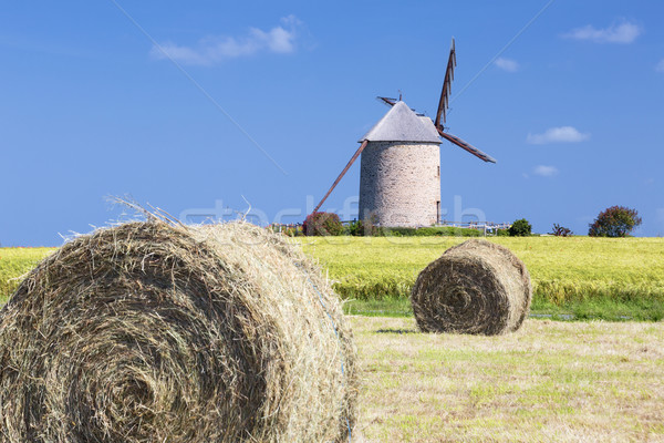 Windmill, wheat field and straw Stock photo © vwalakte
