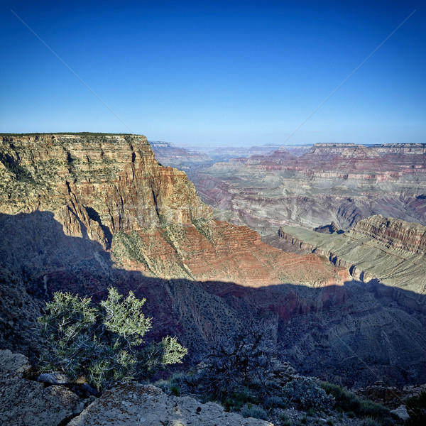 Grand Canyon piazza view noto Arizona USA Foto d'archivio © vwalakte