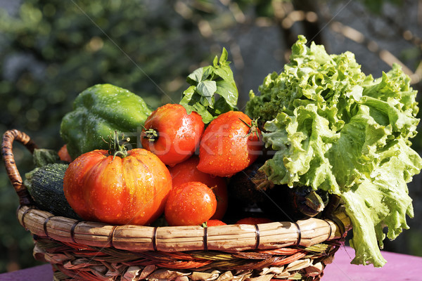 Umed legume tabel grădină roşu piaţă Imagine de stoc © vwalakte