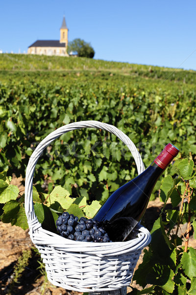 french wine Stock photo © vwalakte
