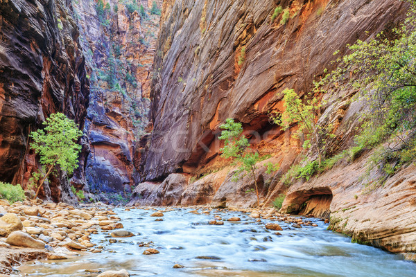 Shallow rapids of the famous Virgin River  Stock photo © vwalakte