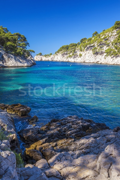 Berühmt Port Pin Wasser Baum Landschaft Stock foto © vwalakte