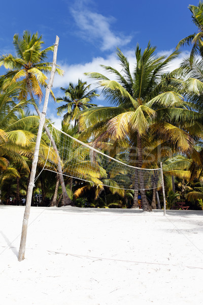 пляж залп волейбол чистой Мексика Сток-фото © vwalakte