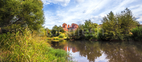 Stock fotó: Panorámakép · kilátás · katedrális · kő · fa · tájkép