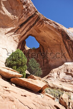 Bowtie Arch Stock photo © vwalakte