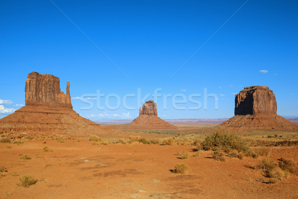 Monument Valley with blue sky Stock photo © vwalakte