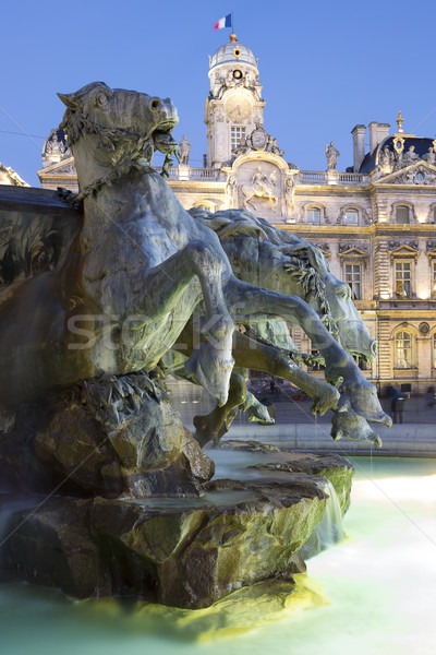 Vertical view of Bartholdi Fountain in Lyon by night Stock photo © vwalakte