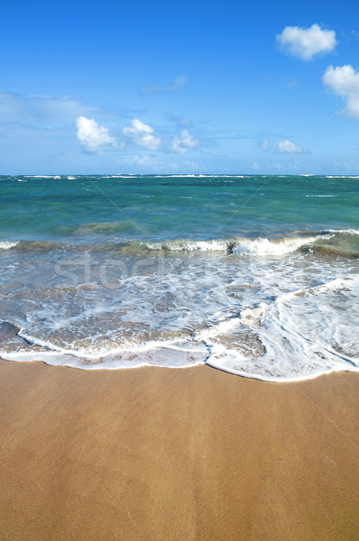 Plage tropicales mer été océan espace [[stock_photo]] © vwalakte