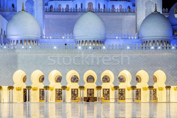 Mosque by night Stock photo © vwalakte