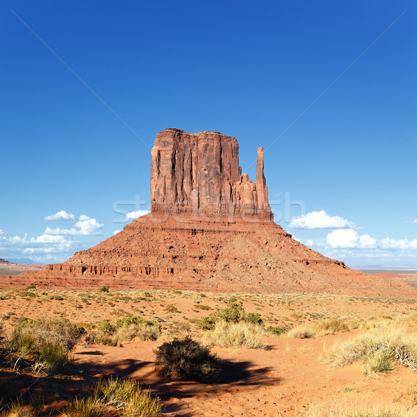 The famous cliffs Mittens in Monument Valley Stock photo © vwalakte