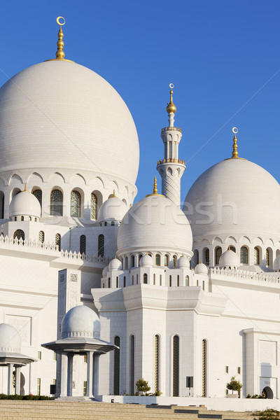 Part of Sheikh Zayed Grand Mosque Stock photo © vwalakte