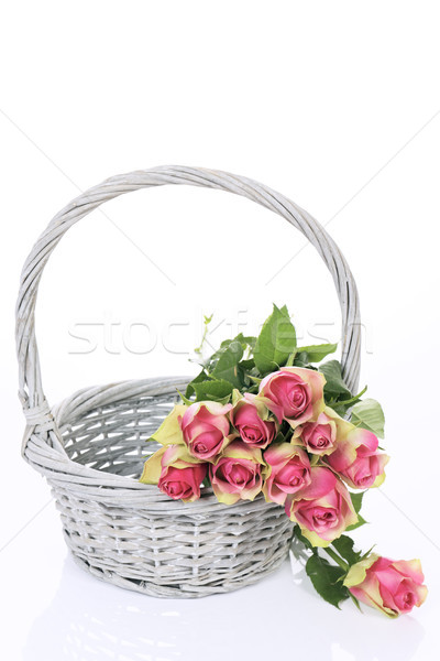 Belo rosa rosas cesta branco rosa Foto stock © vwalakte